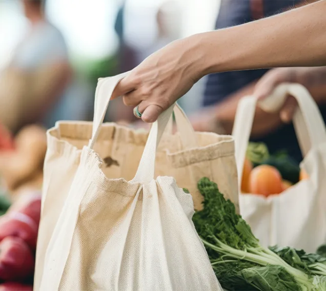 Image of a woman's hands at a grocery store or farmers market holding a reusable shopping bag
