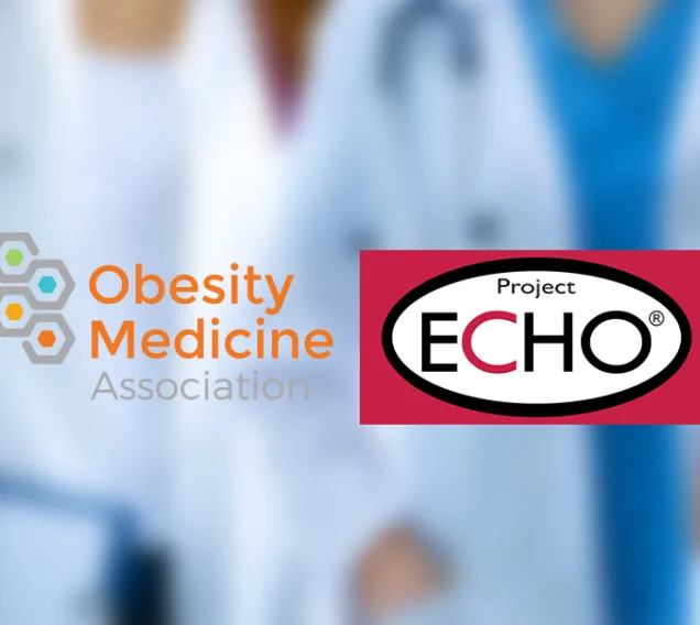 Insights from ECHO Blog Image