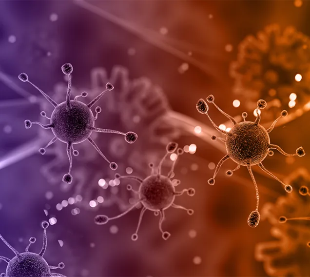 Diseases Related to Obesity