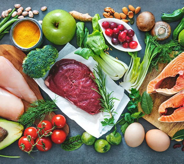 Nutrition Quality in Obesity Treatment Blog Image