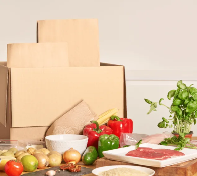 Meal Delivery Service Article e1638558941112