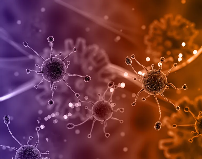Diseases Related to Obesity